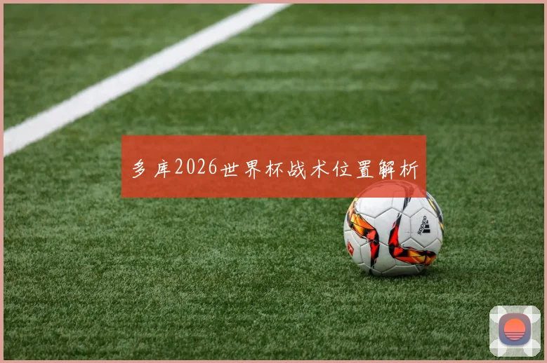 多库2026世界杯战术位置解析