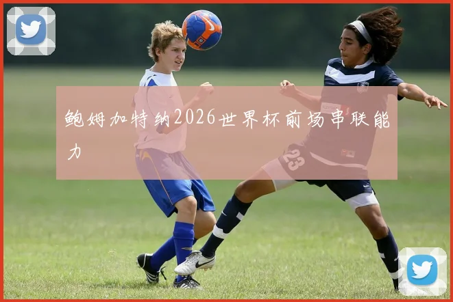 鲍姆加特纳2026世界杯前场串联能力