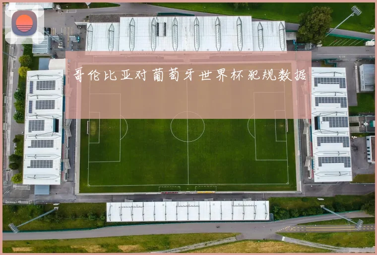 哥伦比亚对葡萄牙世界杯犯规数据