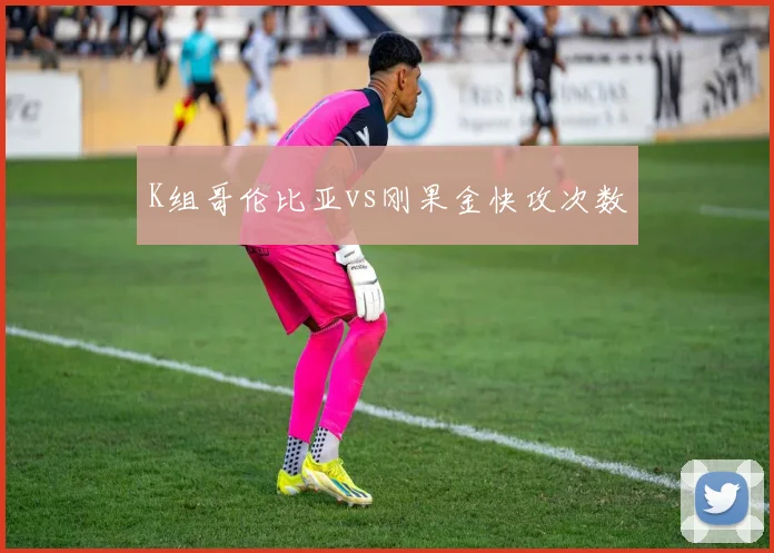 K组哥伦比亚vs刚果金快攻次数