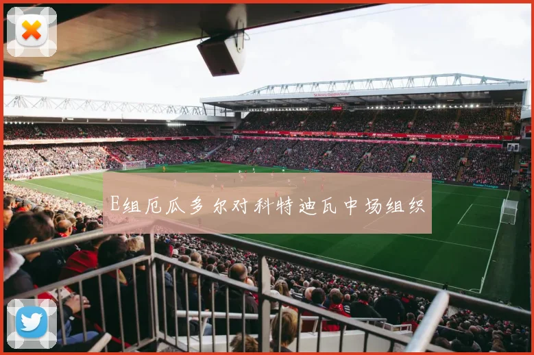 E组厄瓜多尔对科特迪瓦中场组织