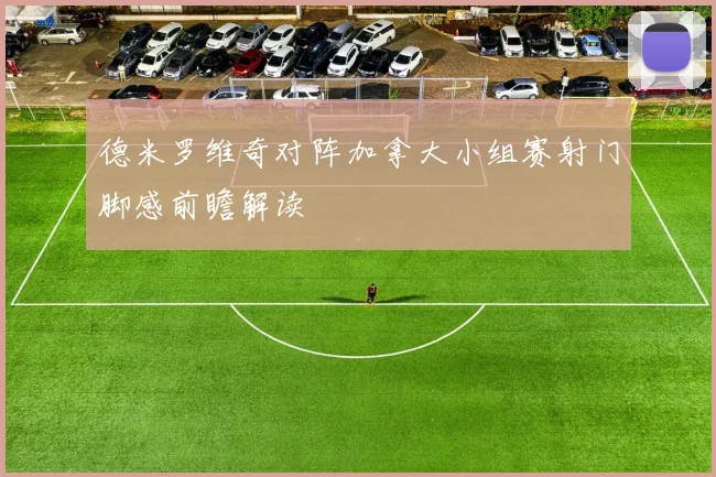 德米罗维奇对阵加拿大小组赛射门脚感前瞻解读