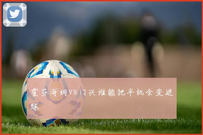 霍芬海姆vs门兴谁能把半机会变进球
